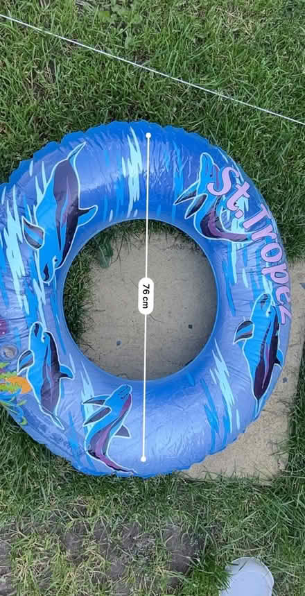 Photo of free Inflatable pool ring (Jennetts park RG12) #1