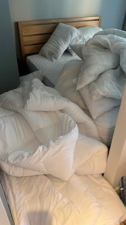 Photo of free Duvets and Pillows (Wembley Stadium/Park HA9) #3