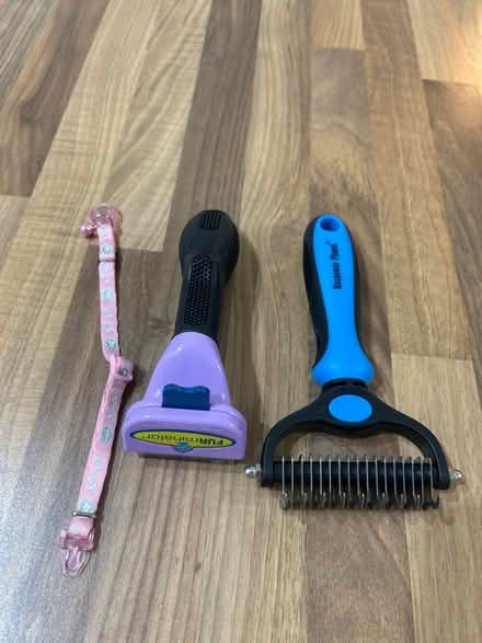 Photo of free 2 pet brush and kitten collar (new) (Barry CF62) #1