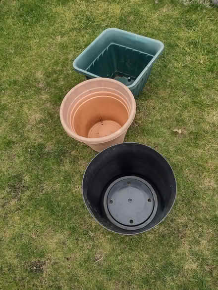 Photo of free Garden pots and trellis (Warwick CV34 6) #4