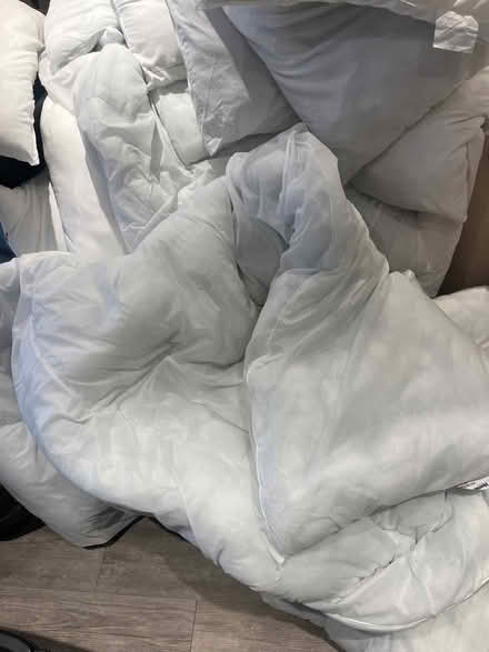 Photo of free Duvets and Pillows (Wembley Stadium/Park HA9) #2