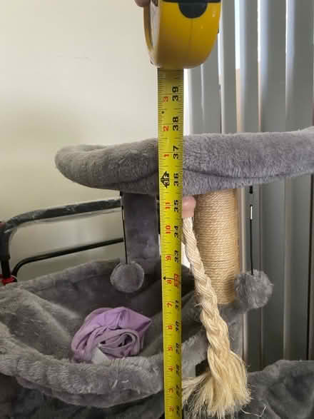 Photo of free Small Cat Tower (North York) #2