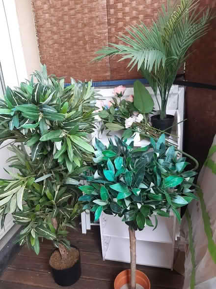 Photo of free 2 tall artificial plants 115&90 cm (Edinburgh EH17) #1
