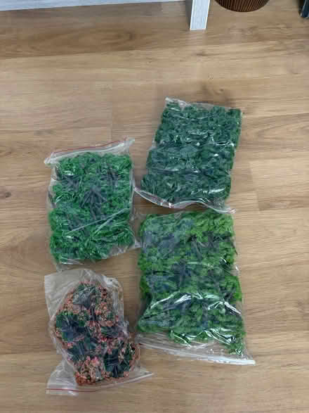 Photo of free Diarama Trees & Grass (Sonning RG4) #3
