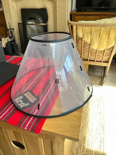 Photo of free Adjustable Vet Cone for dog (Littlemore OX4 4) #1