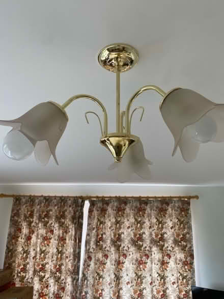 Photo of free Lamp Shades x 8 (PE303RD) #3