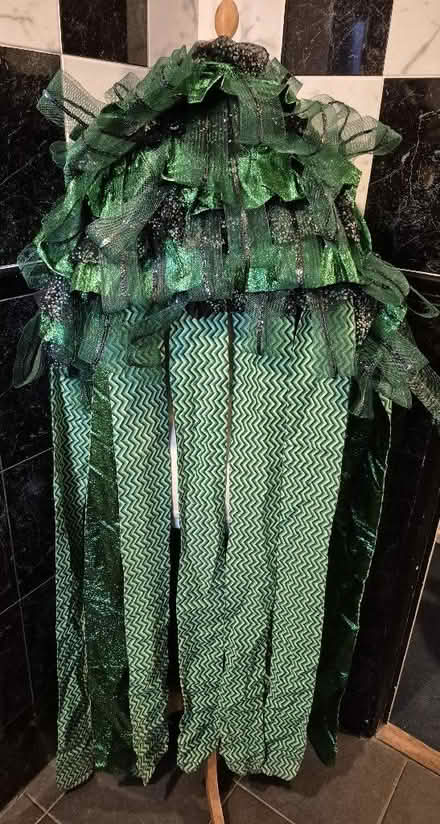 Photo of free Costume (green) (Hollinswood TF3) #2