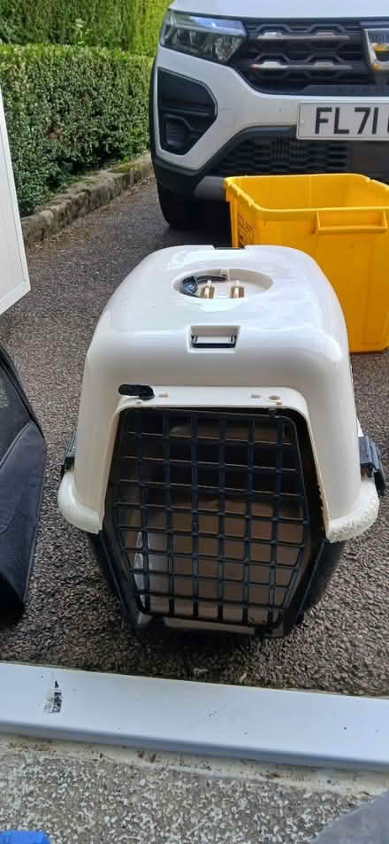 Photo of free Putty/kitten pet carrier (Allestree DE22 2) #1