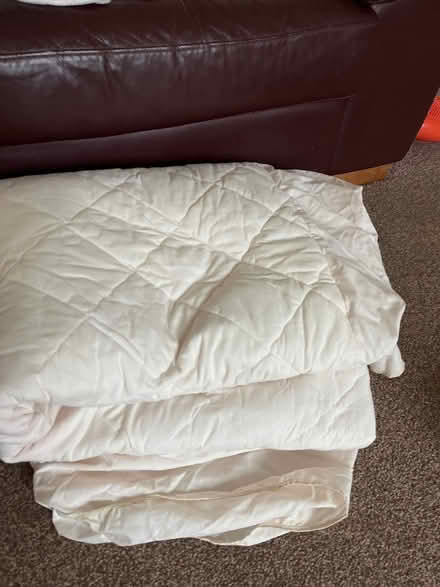 Photo of free King size mattress protector (Leckhampton) #1