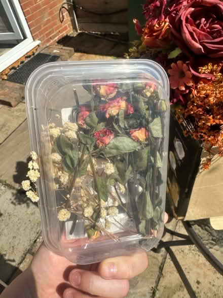 Photo of free Faux/dried flowers (Ringwould CT14) #3