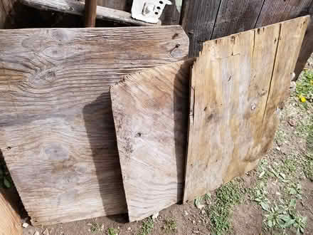 Photo of free Plywood (Huntington MA) #1