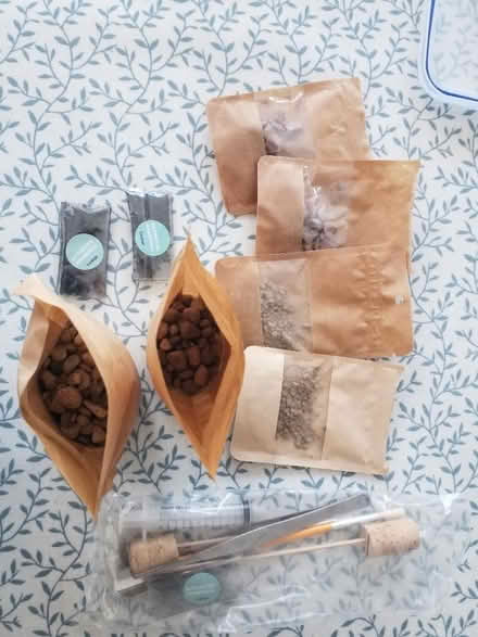 Photo of free Terrarium planting kit (Catford) #1