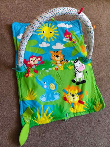 Photo of free Baby play mat (Meanley Rd, E12) #1