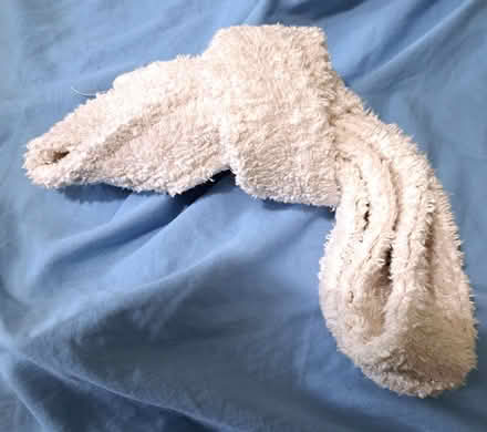 Photo of free Shower robe belt (Battle RG30) #1