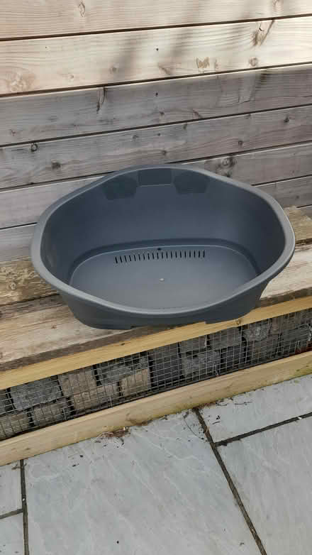 Photo of free Dog bed (Longton PR4) #2