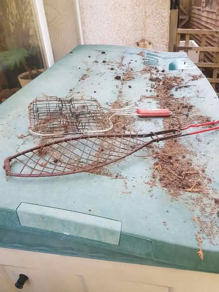 Photo of free Burger & fish for BBQ (Orpington BR5) #1