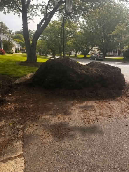 Photo of free mulch (Falls Church, Va) #2
