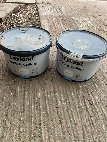 Photo of free Walls and ceiling Matt white paint (Swindon SN2) #1
