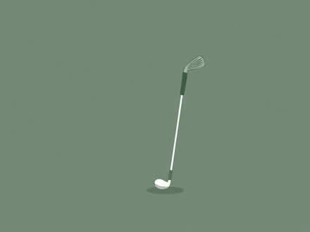 Photo of Golf clubs (Wildridings RG12) #1