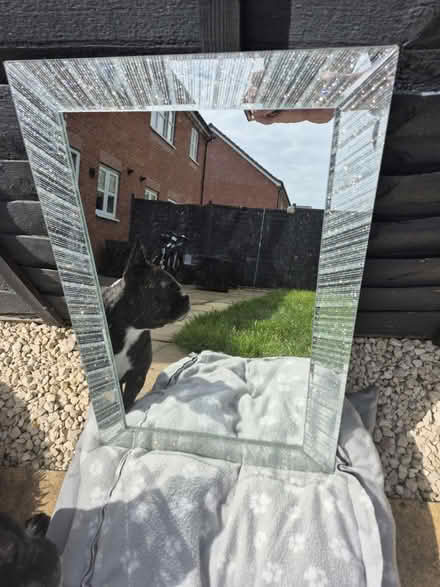 Photo of free Mirror (Tile Hill Coventry) #1