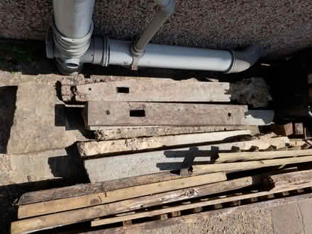 Photo of free Concrete fence posts (Bromley BR4) #1