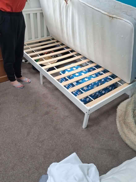 Photo of free Single bed and mattress (Bowerham LA1) #1