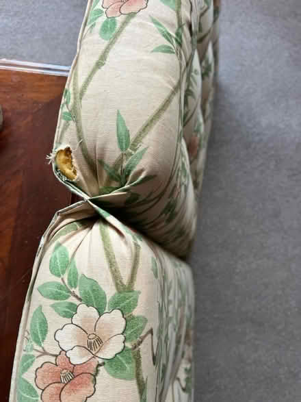 Photo of free Garden chair cushion (Caton) #3