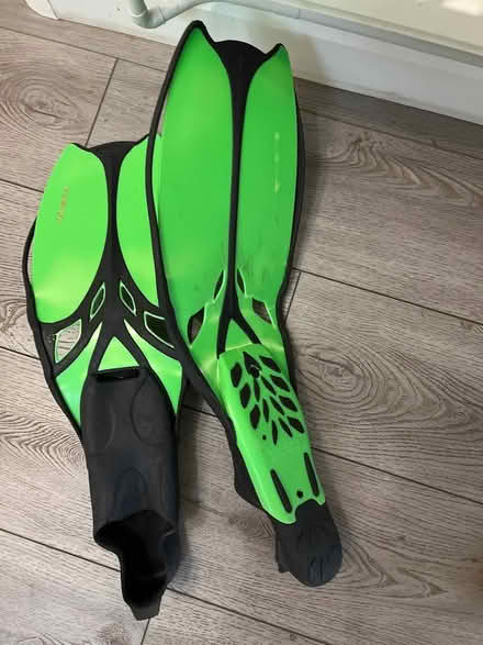 Photo of free Flippers (Leckhampton) #1