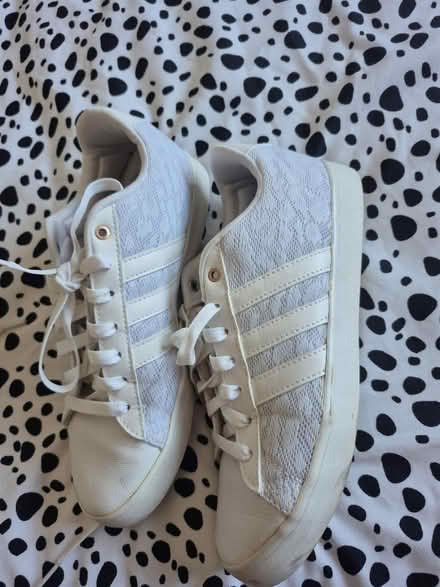 Photo of free Addidas trainers (Chichester) #3