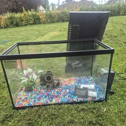 Photo of free Acquarium (Mount Merrion) #1