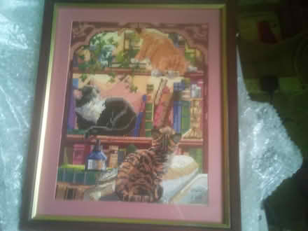 Photo of free Cats cross stitch in frame (Killamarsh S21) #1