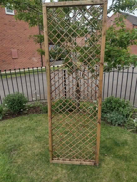 Photo of free Garden pots and trellis (Warwick CV34 6) #2