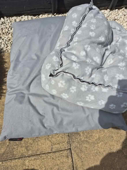 Photo of free Dog beds (Tile Hill Coventry) #1