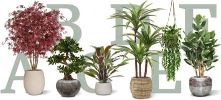 Photo of free Artificial plants (Various sizes), green shades :) (Gilmerton EH17) #1