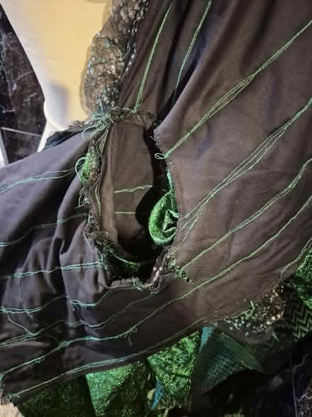 Photo of free Costume (green) (Hollinswood TF3) #3