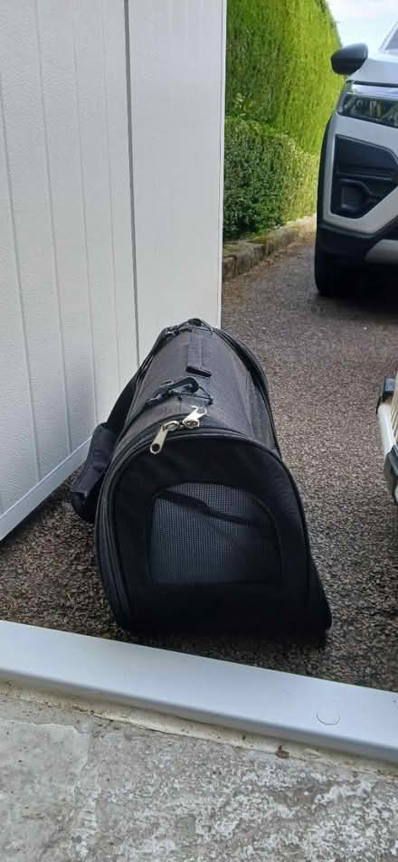 Photo of free Puppy/kitten pet carrier (Allestree DE22 2) #1