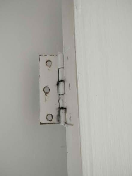 Photo of free Internal Door (Seaton EX12) #3