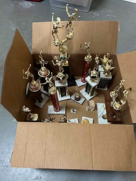 Photo of free Trophies (Plano) #1