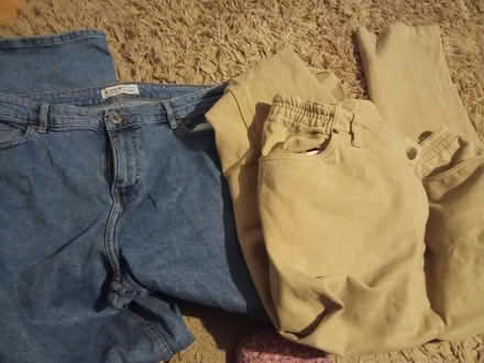 Photo of free Jeans size 16 (Willesborough) #1
