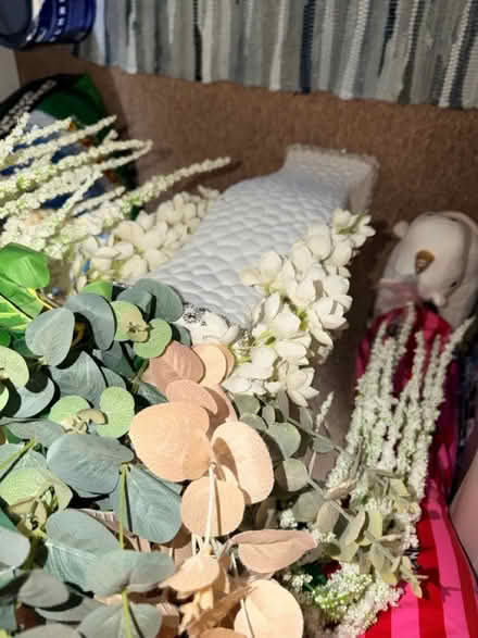 Photo of free Flowers in vase (Heywood) #4