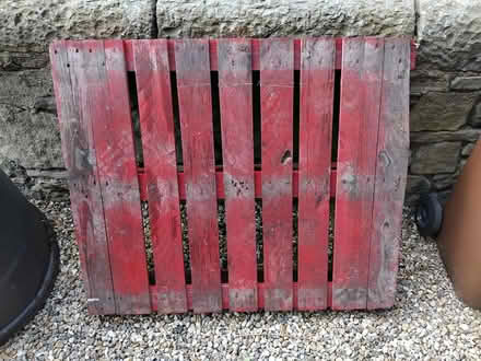 Photo of free Pallet, 100cm x 120cm (Newington EH16) #1