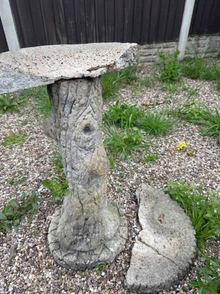Photo of free Bird bath (DE22) #1