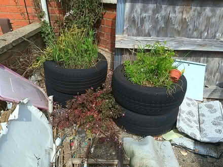 Photo of free Tyres and plants (Kingsley Park NN2) #1