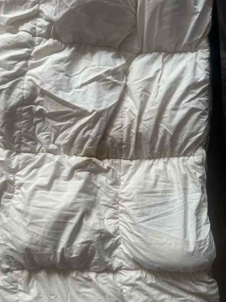 Photo of free Double down duvet 15 tog (Boreham) #3