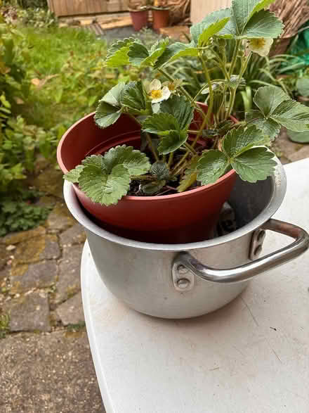 Photo of free Aluminium saucepan (Tottenham, off Philip Lane N17) #3