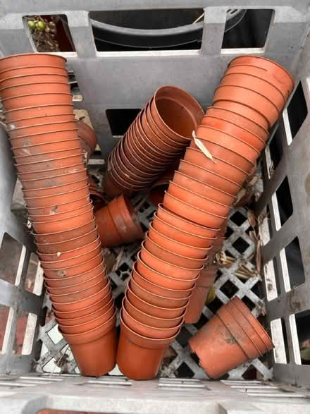 Photo of free 80+ small pots (Glen Eira) #1