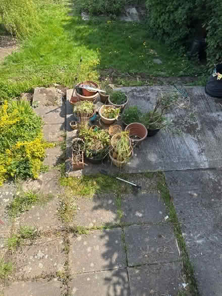 Photo of free Plant Potts (Tibshelf DE55) #3