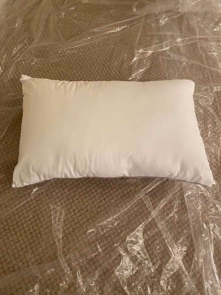Photo of free Like-new bed pillows (Near Michael’s on Homestead) #2