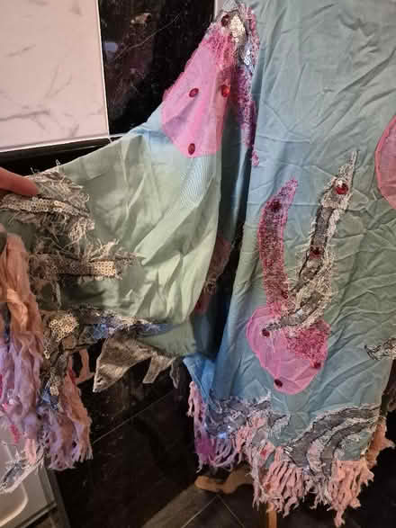 Photo of free Costume (pink/turqoise) (Hollinswood TF3) #3