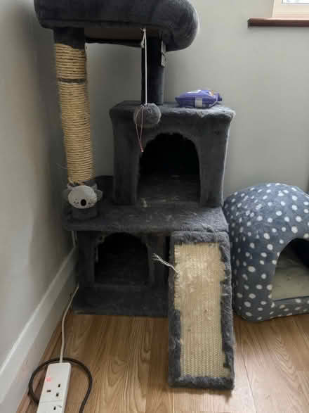 Photo of free Cat house (Worcester Park) #1